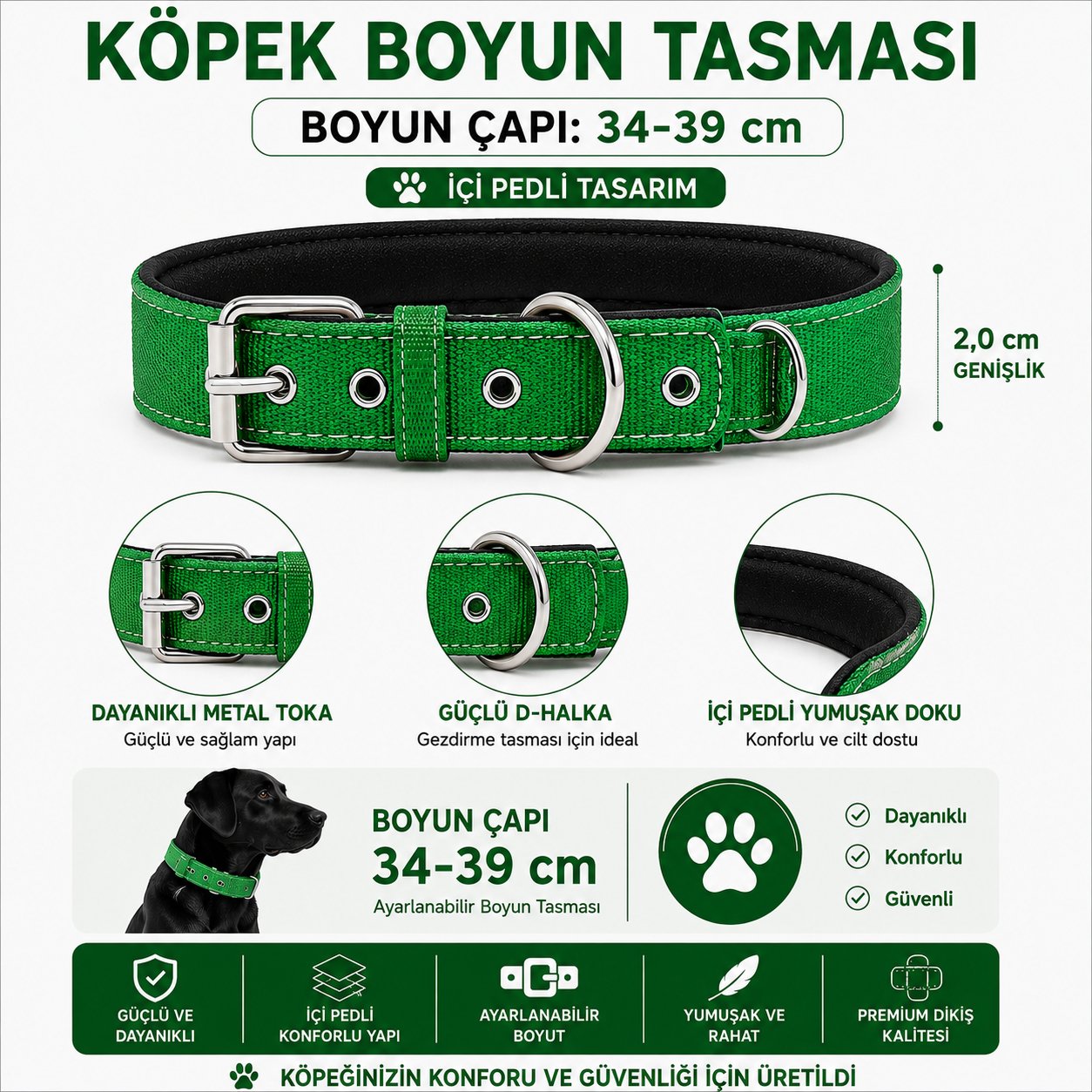 Pedli Köpek Boyun Tasması 34-39 cm 2 cm İçi Pedli Metal Tokalı D Halkalı - Çimen Yeşili