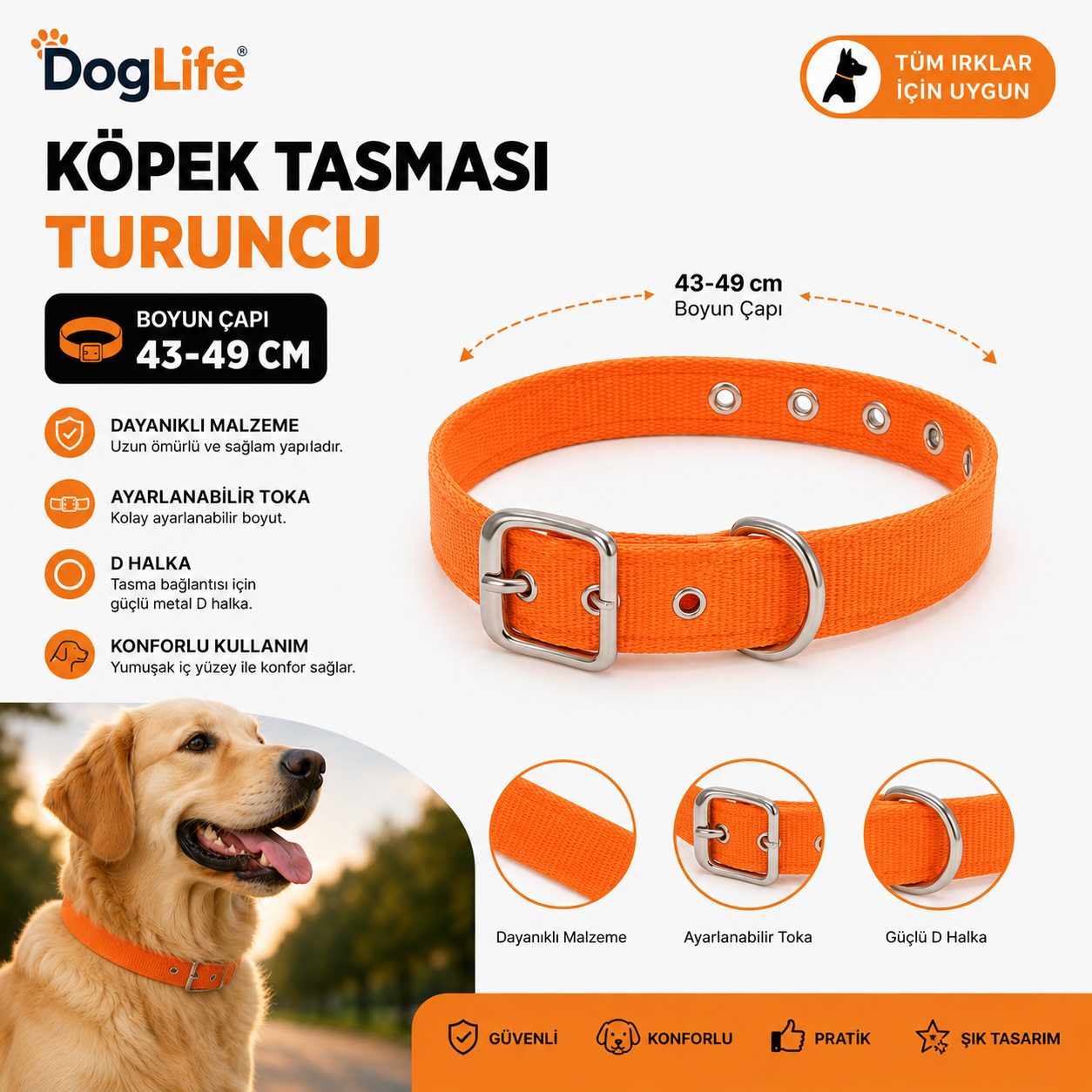 Dog Life Köpek Boyun Tasması 43-49 cm Ayarlanabilir Metal Tokalı D Halkalı - Turuncu