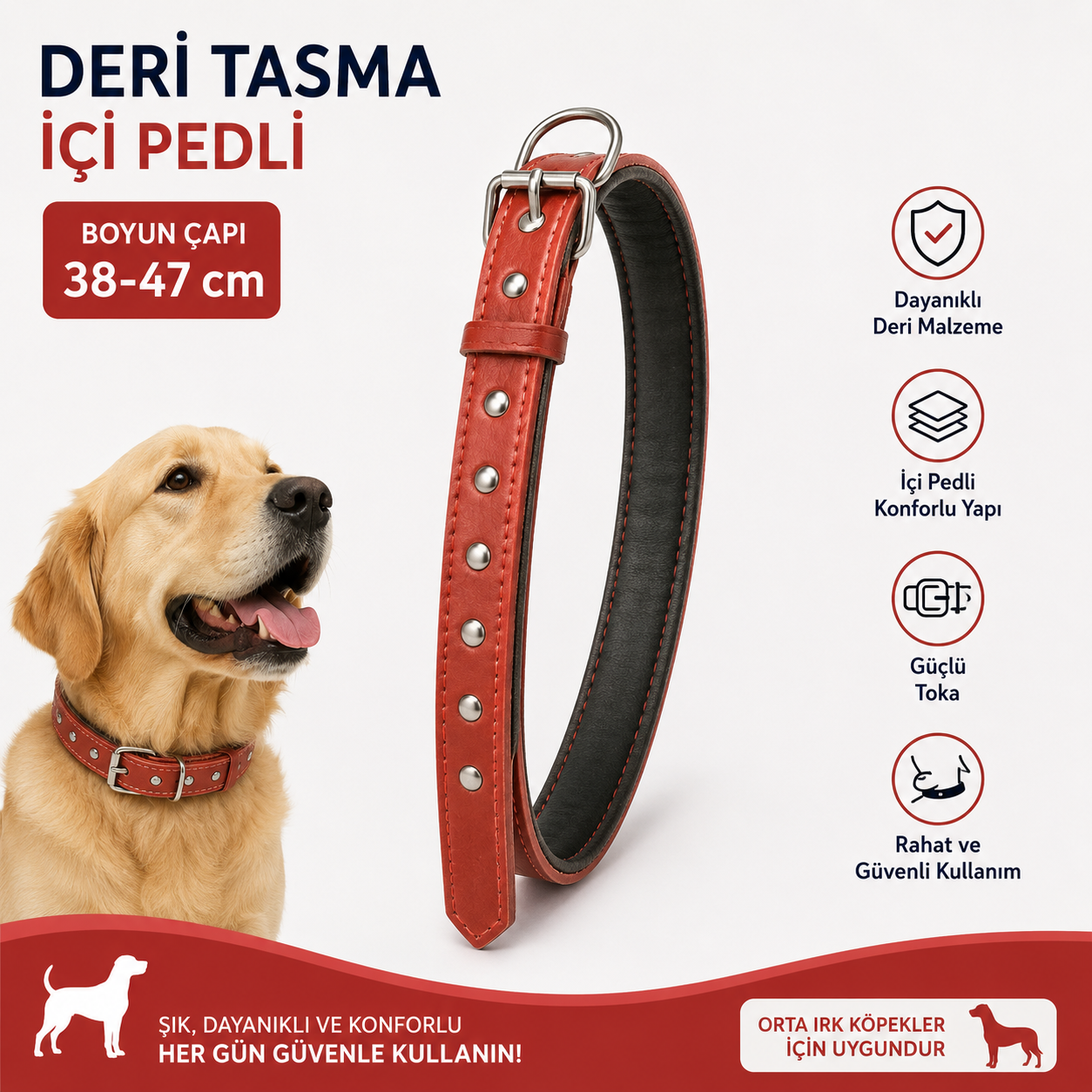 Deri Köpek Boyun Tasması İçi Pedli 38-47 cm Orta Irk Ayarlanabilir Metal Tokalı - Kırmızı