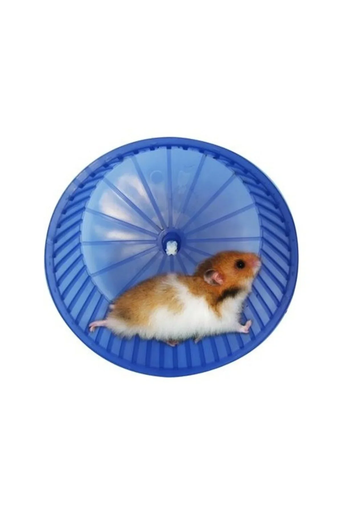 Hamster Çarkı