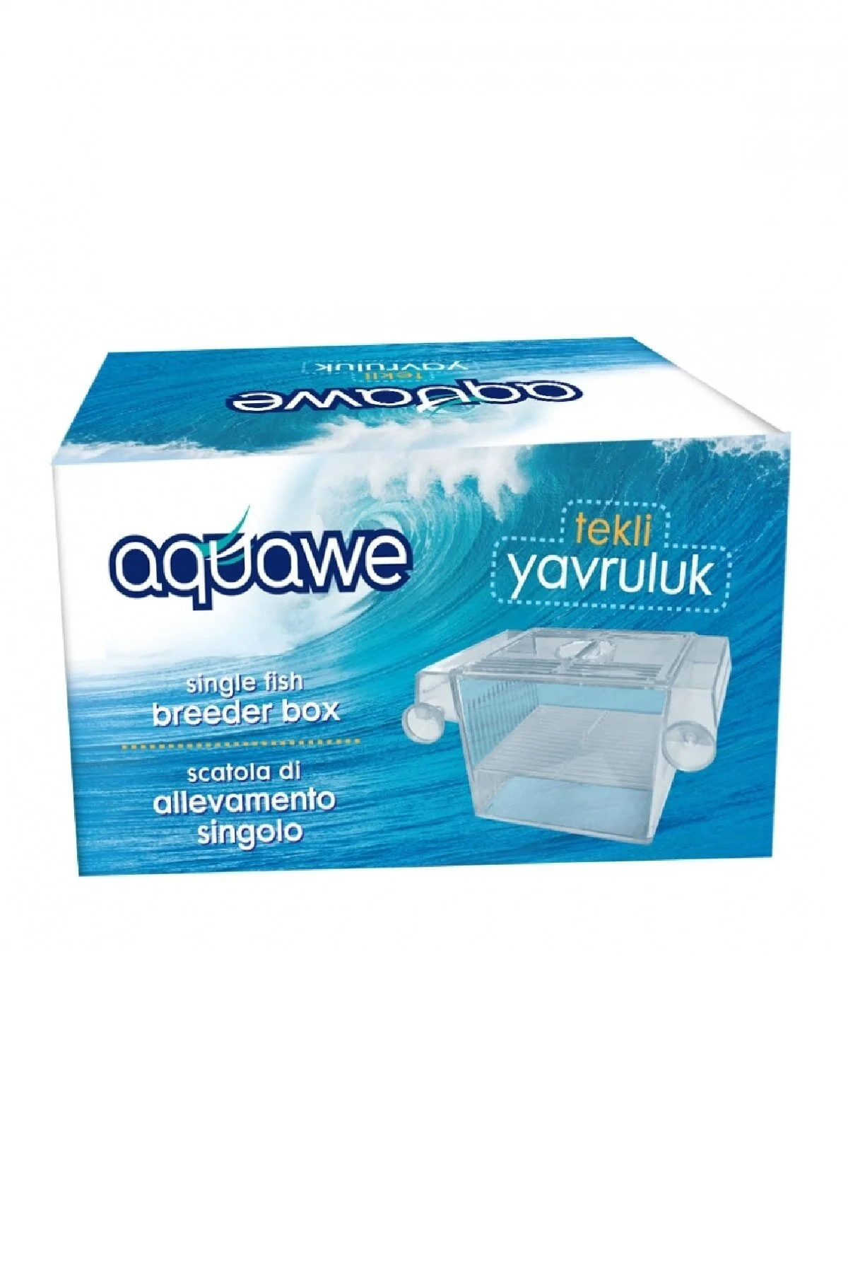 Akvaryum Tekli Yavruluk