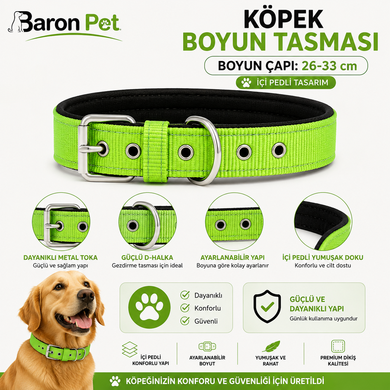 Pedli Köpek Boyun Tasması 26-33 cm 2 cm İçi Pedli Metal Tokalı D Halkalı - Fıstık Yeşili