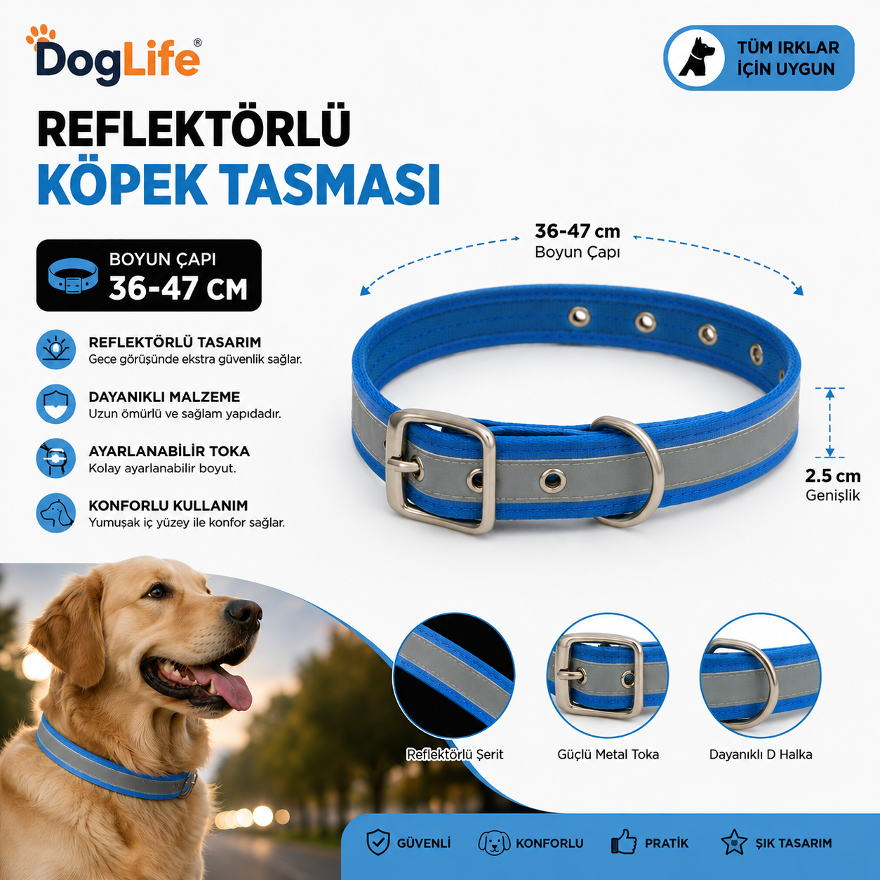 Dog Life Reflektörlü Köpek Boyun Tasması 36-47 cm 2,5 cm Geniş Metal Tokalı - Mavi