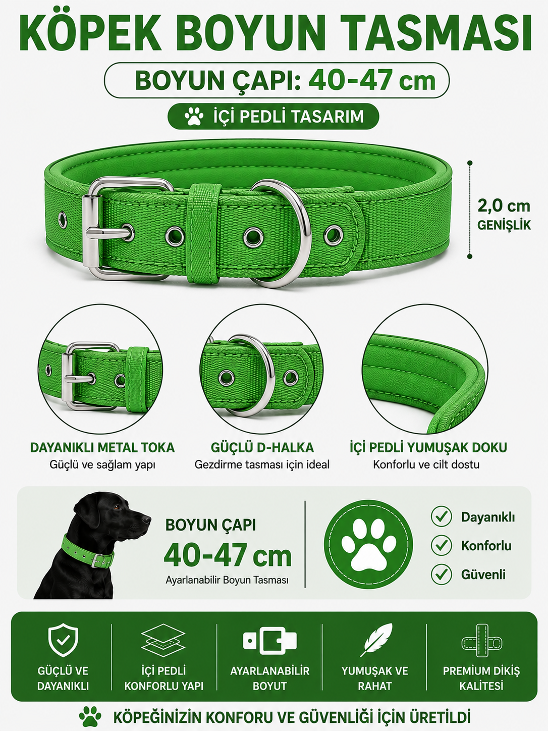 Pedli Köpek Boyun Tasması 40-47 cm 2 cm İçi Pedli Metal Tokalı D Halkalı - Yeşil