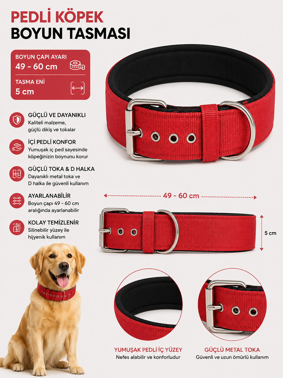 Pedli Köpek Boyun Tasması 49-60 cm 5 cm Geniş Metal Tokalı D Halkalı - Kırmızı