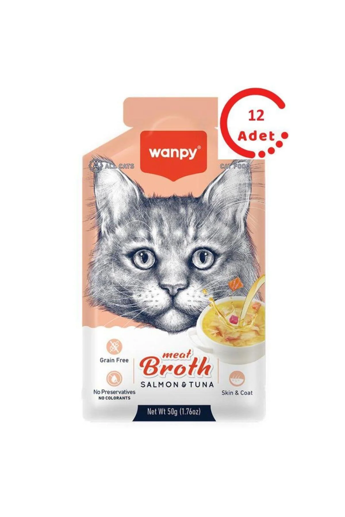 Wanpy Kedi Çorba Somon Ton X 12