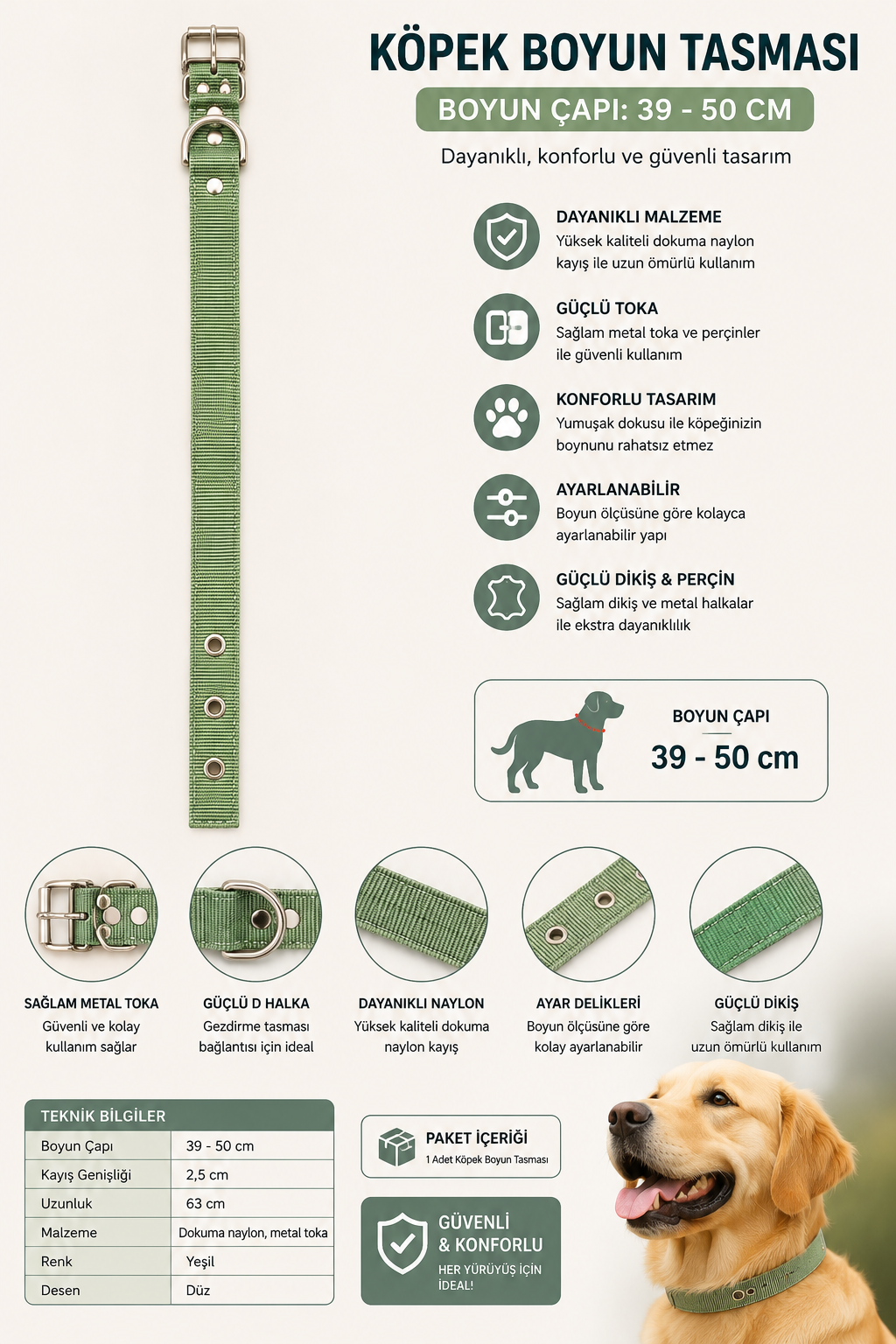 Köpek Boyun Tasması 39-50 cm Dokuma Naylon Perçinli Metal Tokalı D Halkalı - Yeşil