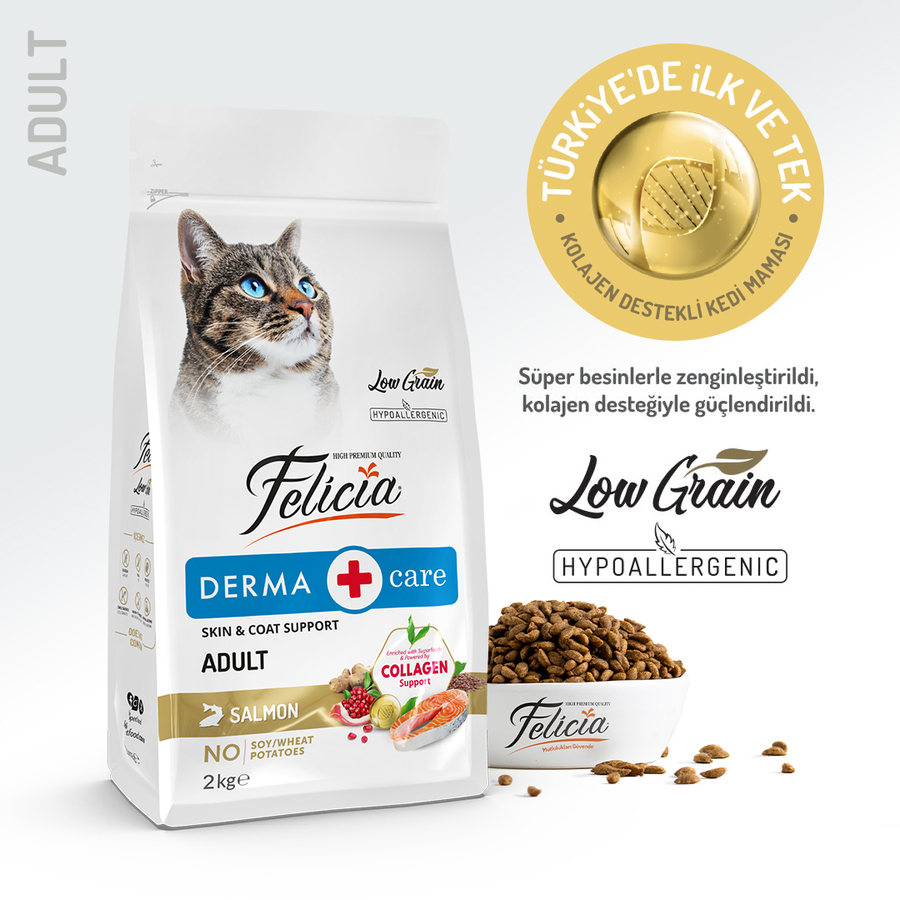 Felicia 2 Kg Kolajenli Somonlu Az Tahıllı Yetişkin Kedi Maması HypoAllergenic Kedi Maması