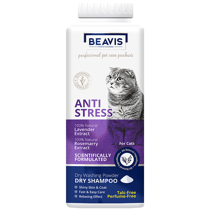 Beavis Kedi Anti Stress Kuru Şampuan 150 Gr