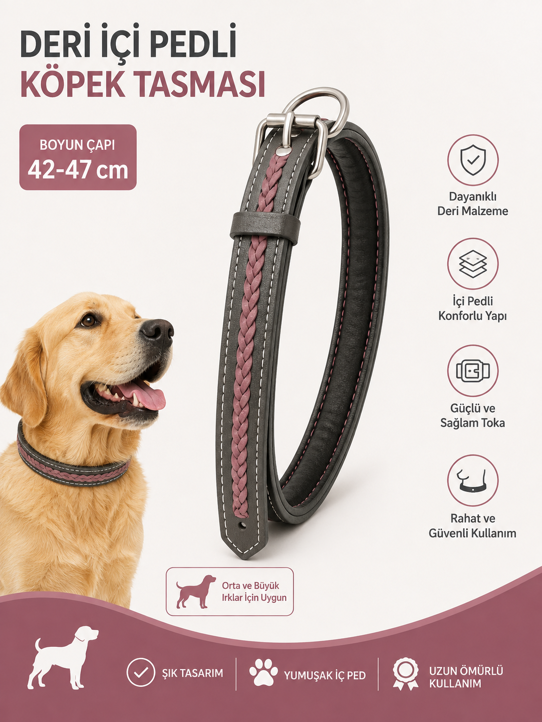 Deri Köpek Boyun Tasması İçi Pedli Örgü Şeritli 42-47 cm Ayarlanabilir Metal Tokalı - Antrasit