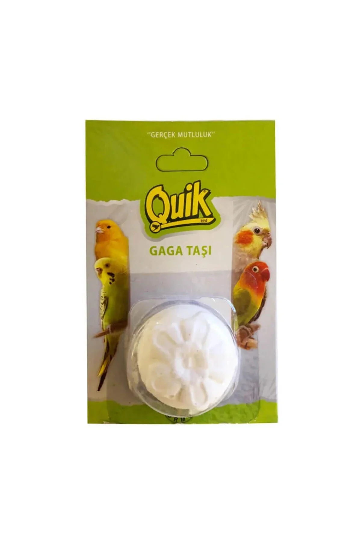 Quik Gaga Taşı