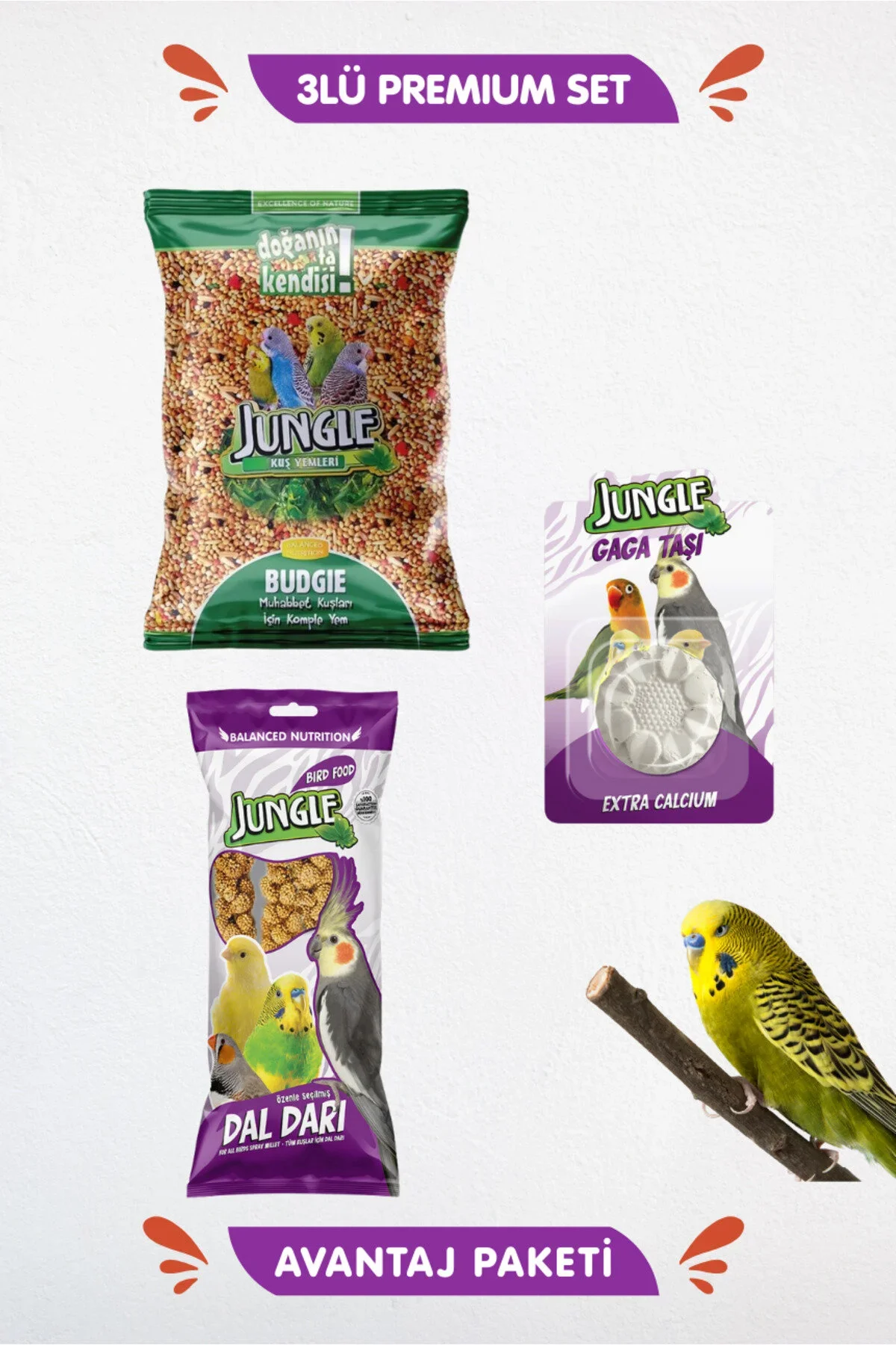 Jungle Kuş 3 lü Set