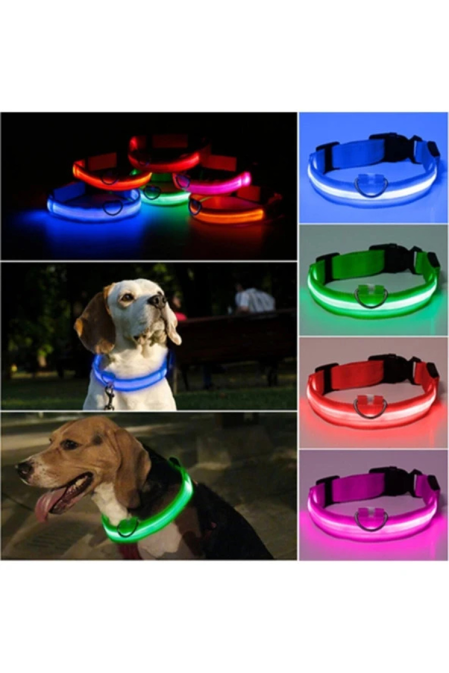 LED Işıklı Köpek Tasması Pilli 3 Modlu Gece Görünürlük - Pembe M Beden