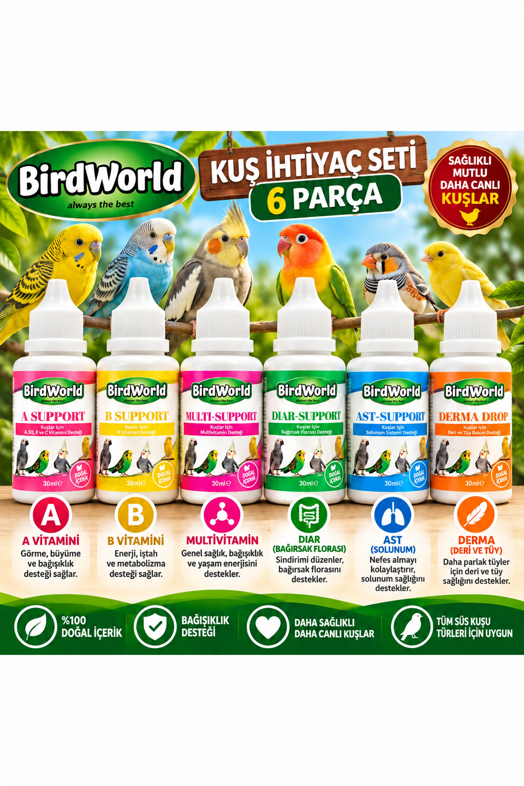 Birdworld Kuş Bakım ve Sağlık Seti 6 Parça (A + B + Multi + Diar + AST + Derma) 30 ml