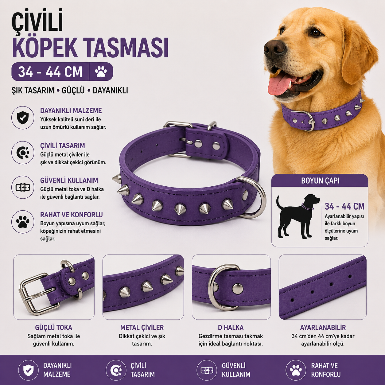 Dog Life Çivili Köpek Boyun Tasması 34-44 cm Ayarlanabilir Metal Tokalı - Mor