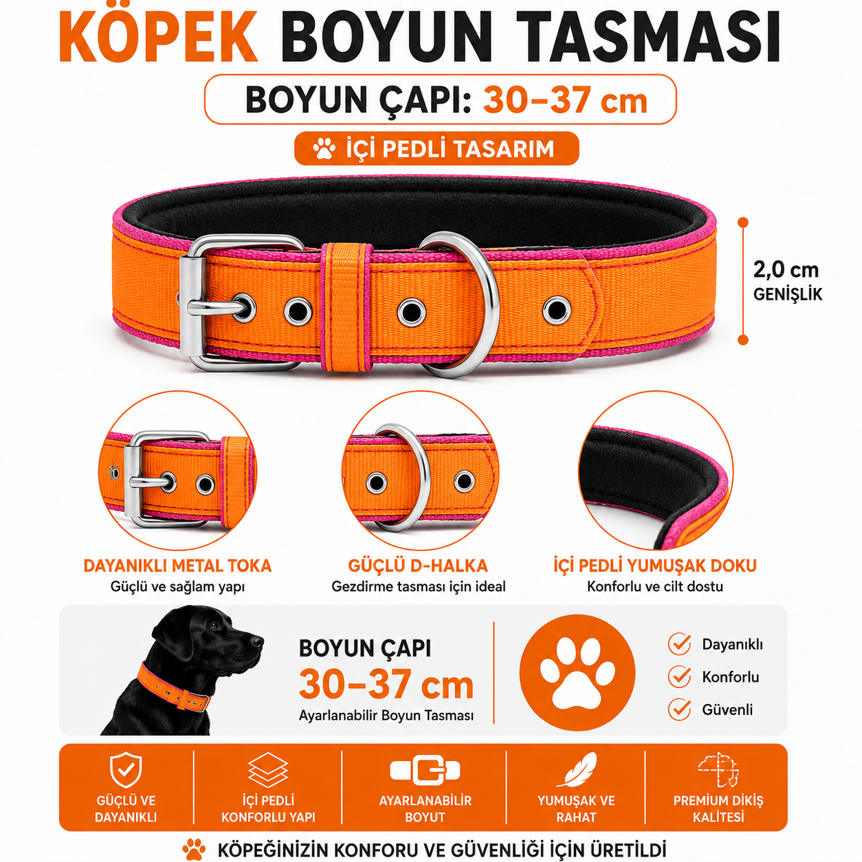Pedli Köpek Boyun Tasması 30-37 cm 2 cm İçi Pedli Metal Tokalı - Turuncu Pembe