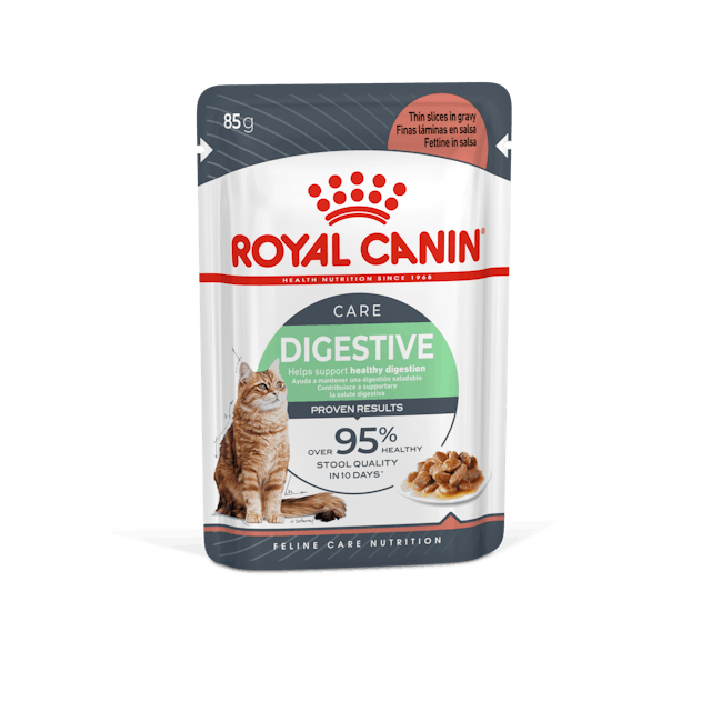 RC Digestive Care Kedi Pouch