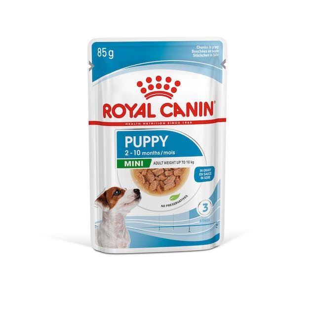 RC Mini Puppy Köpek Pouch