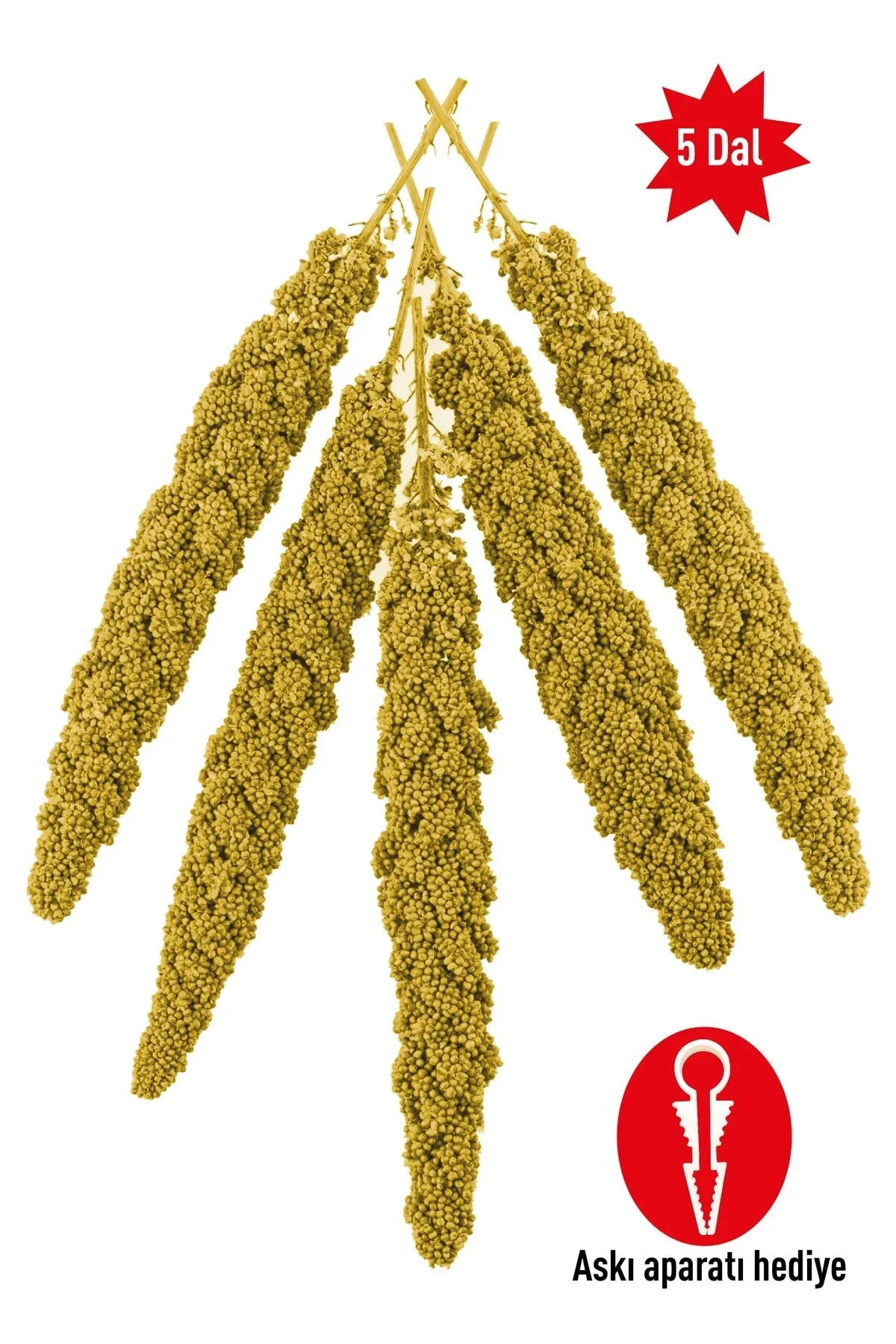 Dal Darı Açık Paket 5 Dal