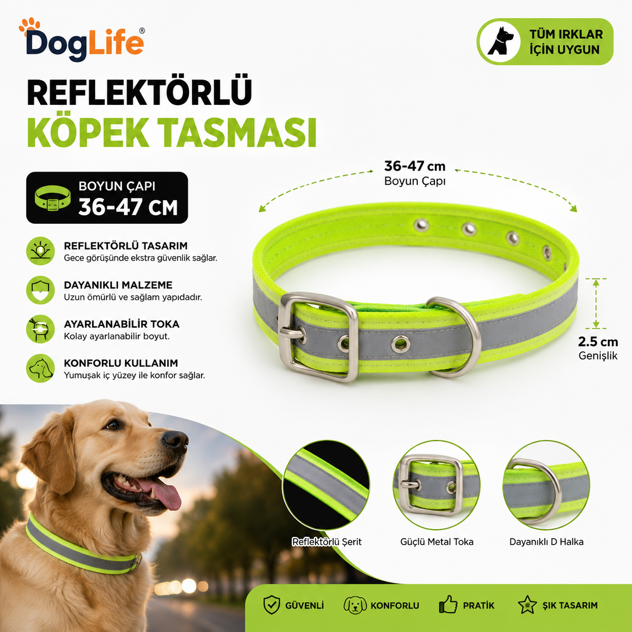 Dog Life Reflektörlü Köpek Boyun Tasması 36-47 cm 2,5 cm Geniş Metal Tokalı - Neon Yeşil