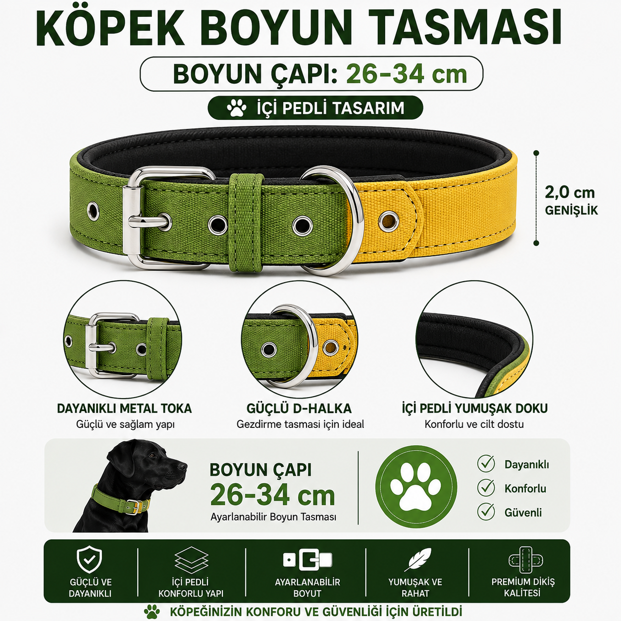 Pedli Köpek Boyun Tasması 26-34 cm 2 cm İçi Pedli Metal Tokalı - Yeşil Sarı