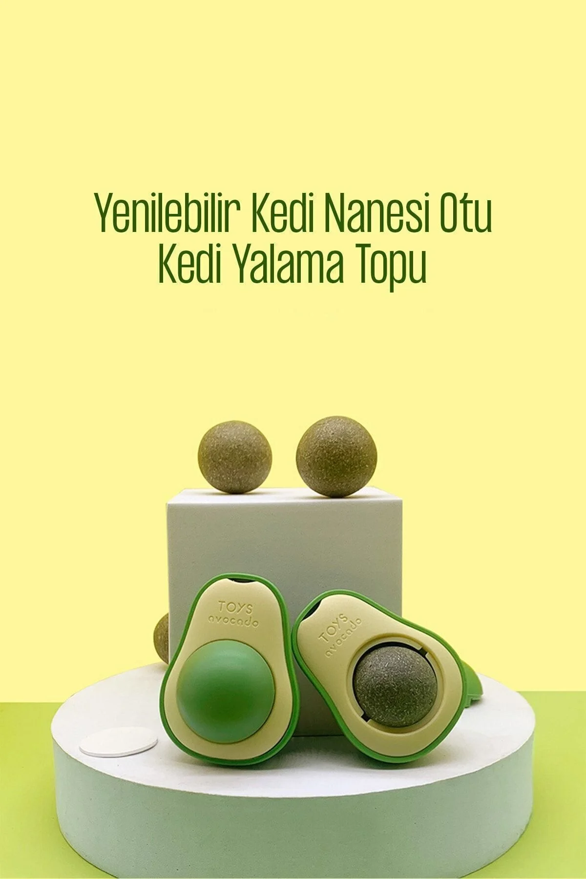 Kedi Avokado