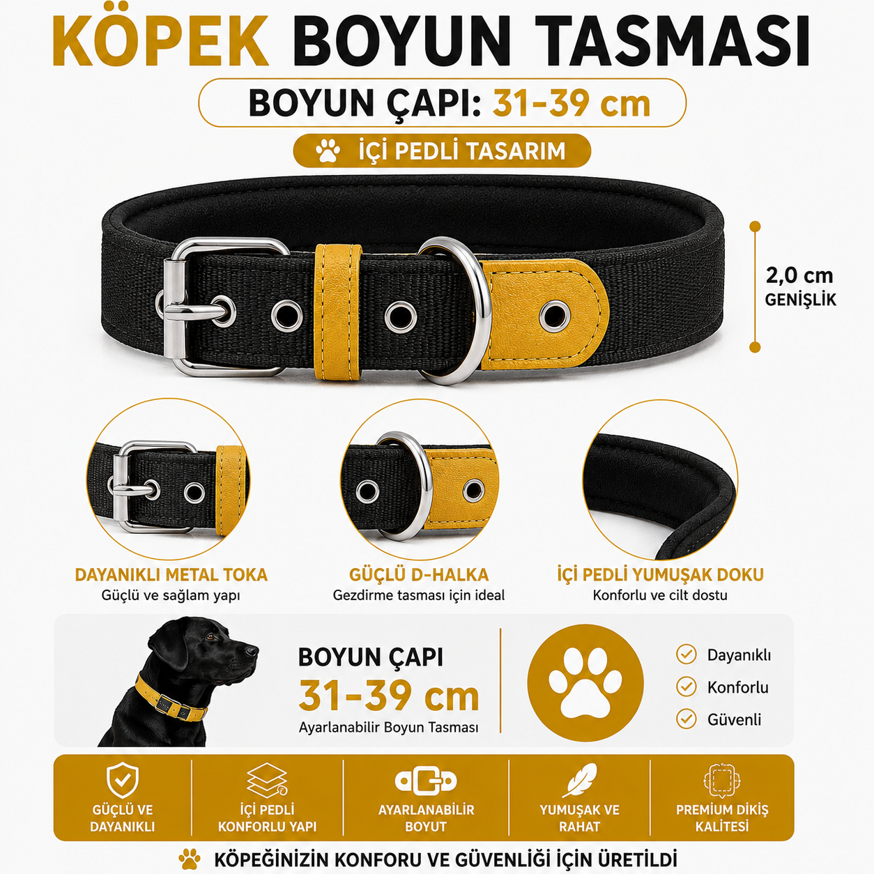 Pedli Köpek Boyun Tasması 31-39 cm 2 cm İçi Pedli Metal Tokalı - Siyah Hardal