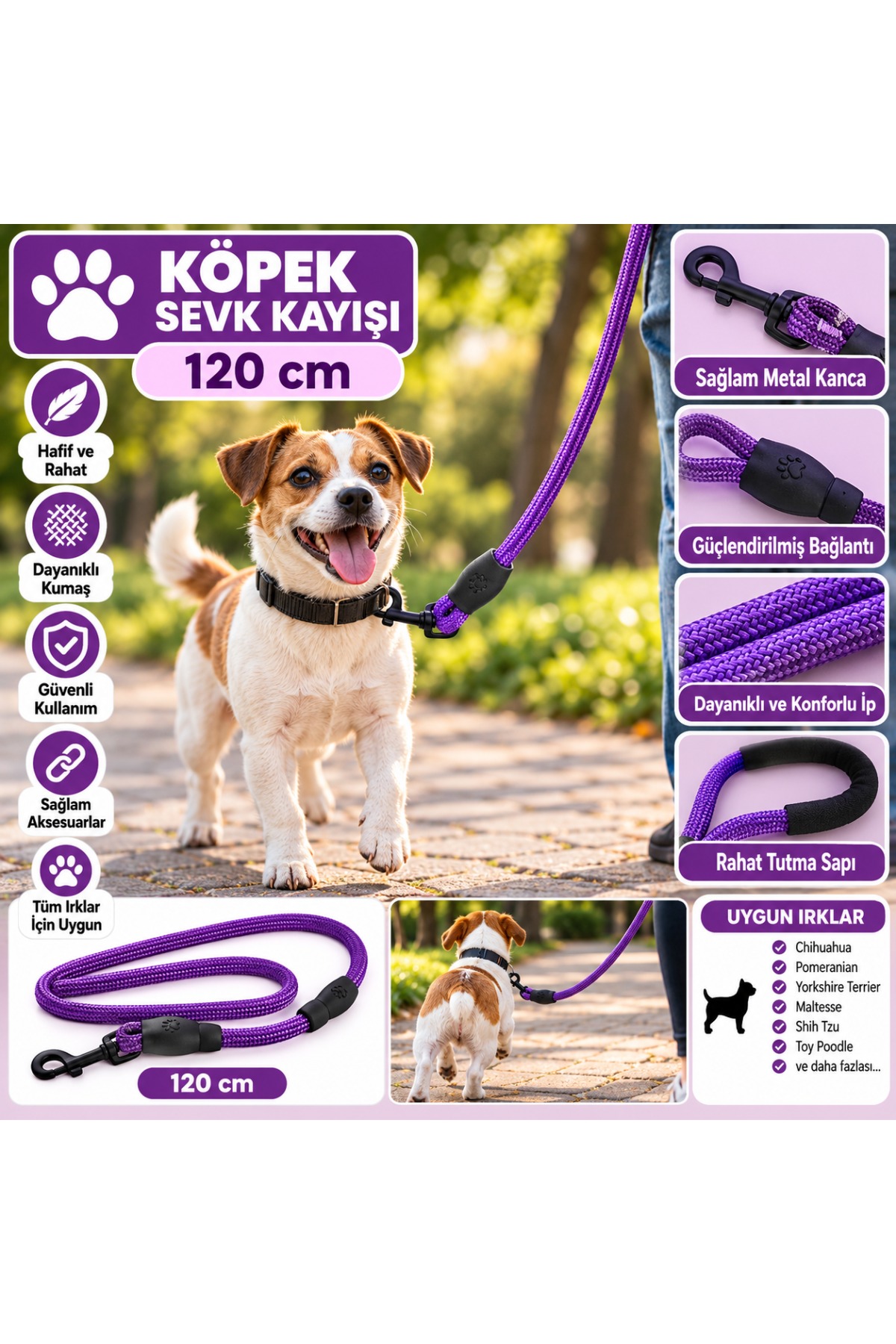 Senye Köpek Sevk Kayışı Örgülü Fitil Mor 120 cm