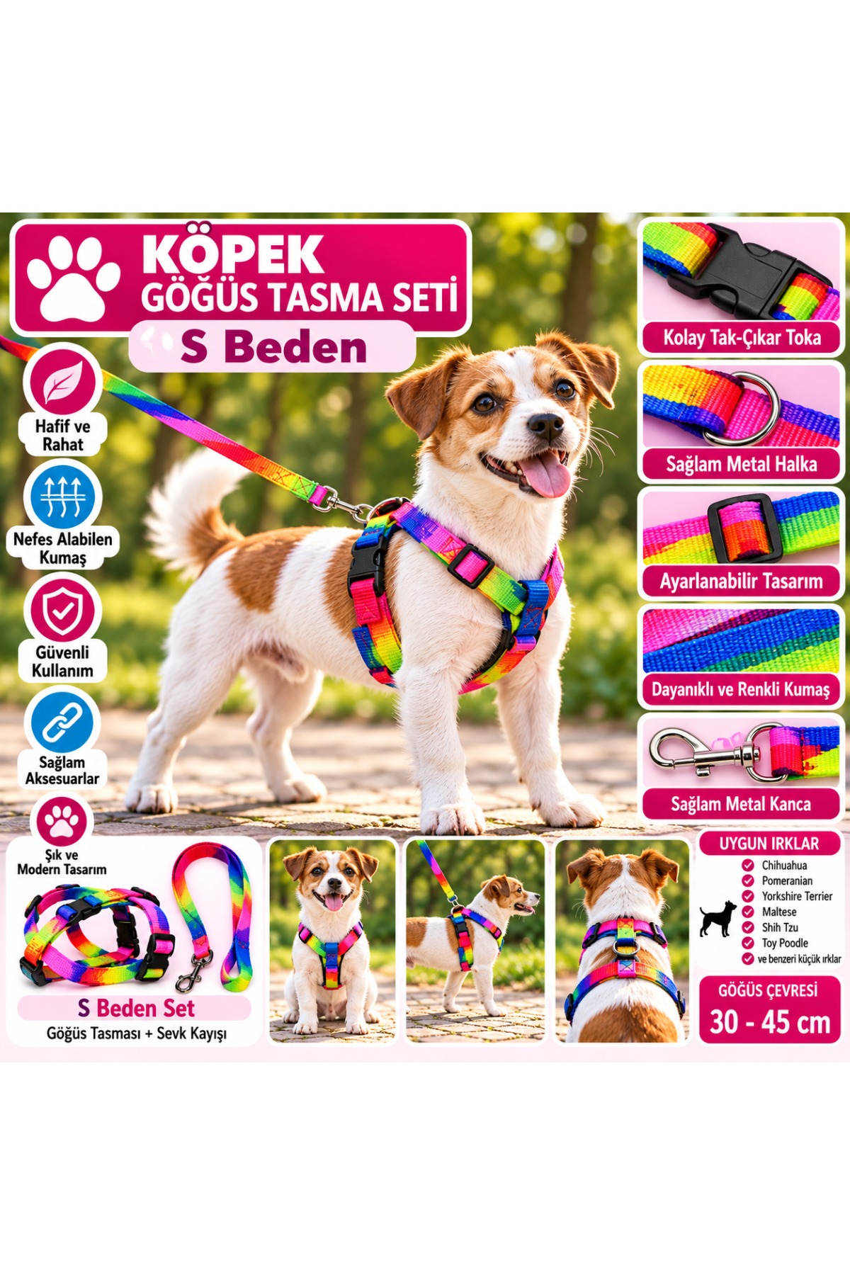 Doglife Gökkuşağı Gezdirmeli Köpek Göğüs Tasması ve Sevk Kayışı Seti S Beden 1,5 cm