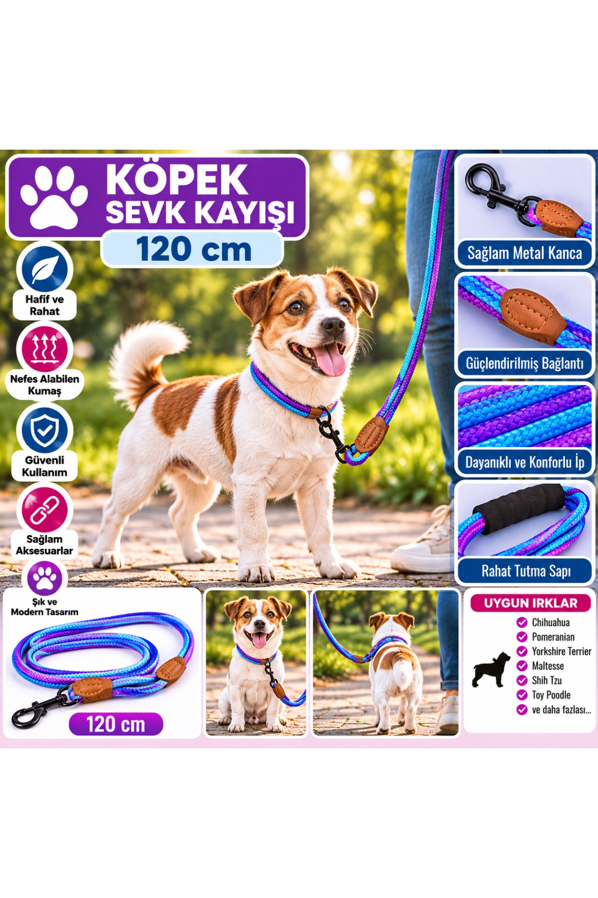 Ally Paws Köpek Sevk Kayışı Gezdirme Tasması 8mm x 120cm - Mor Mavi