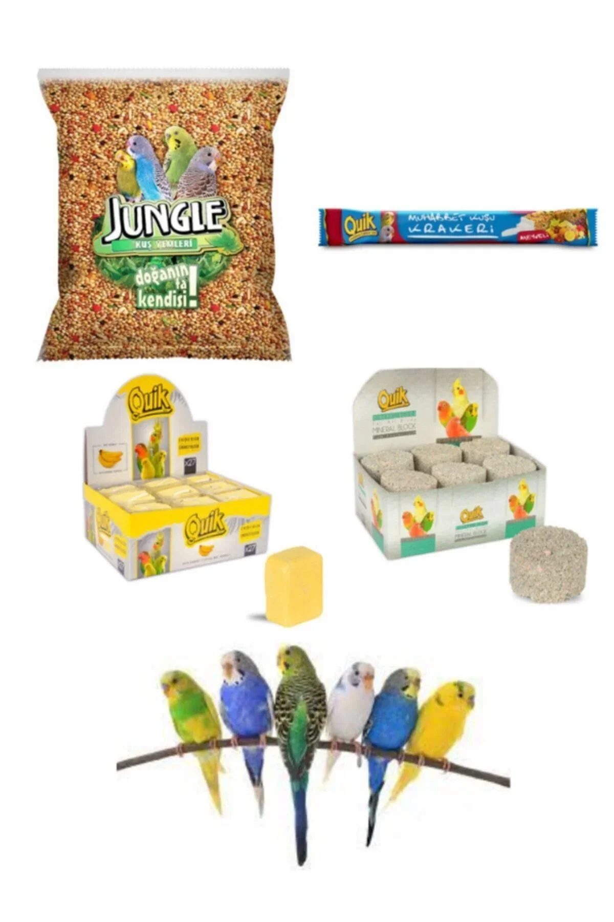Jungle Kuş 4 lü Set