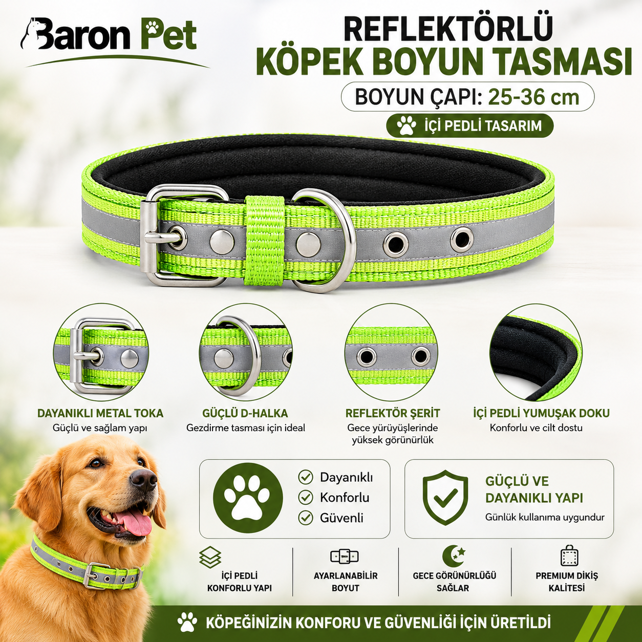Reflektörlü Pedli Köpek Boyun Tasması 25-36 cm İçi Pedli Metal Tokalı - Neon Yeşil