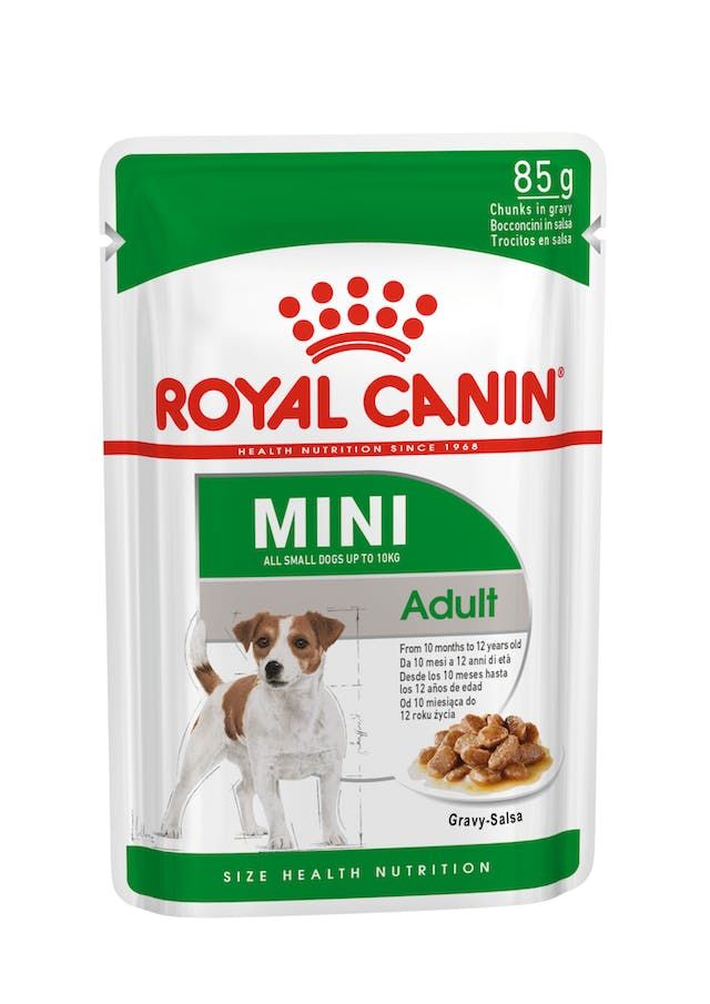 RC Mini Adult Köpek Pouch