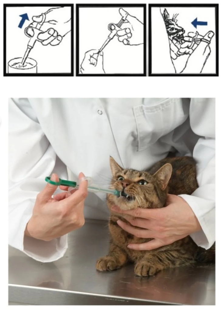 Kedi Köpek İlaç Yutturma Aparatı