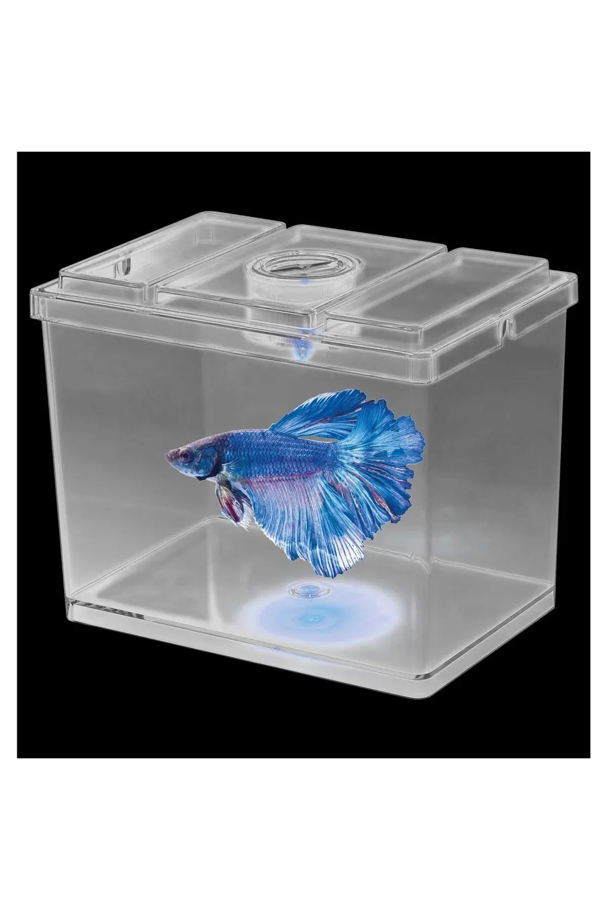 Sobo Mini Betta Kabı