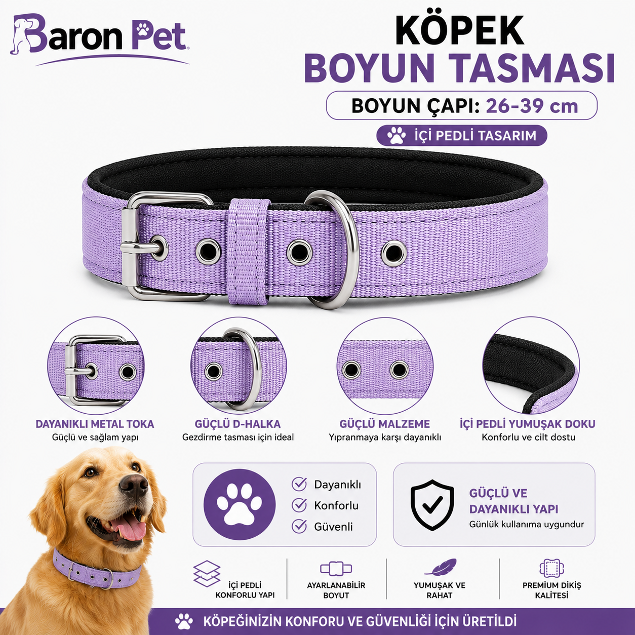 Pedli Köpek Boyun Tasması 26-39 cm 2 cm İçi Pedli Metal Tokalı D Halkalı - Lila
