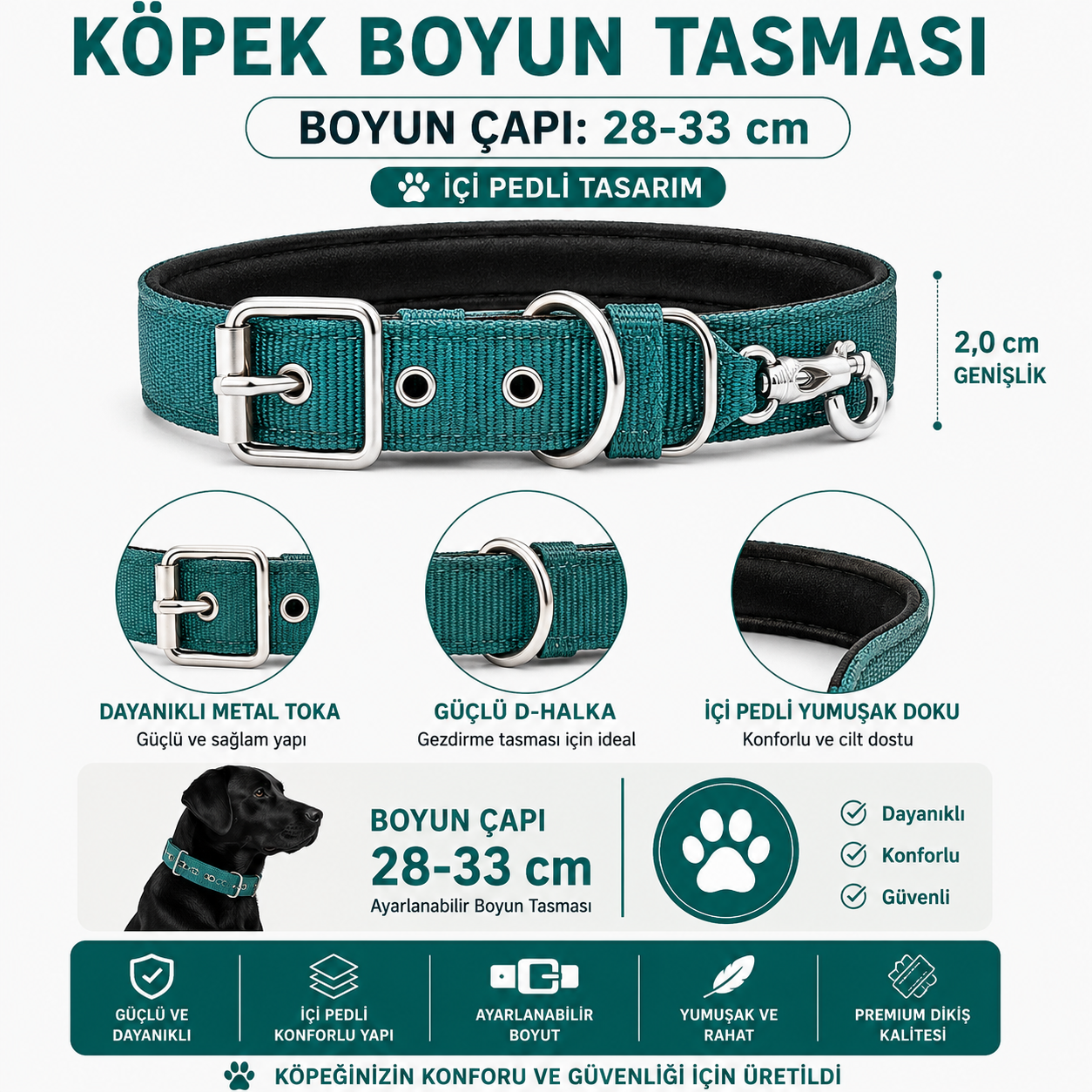 Pedli Köpek Boyun Tasması 28-33 cm 2 cm Karabina Klipsli Metal Tokalı - Petrol Yeşili
