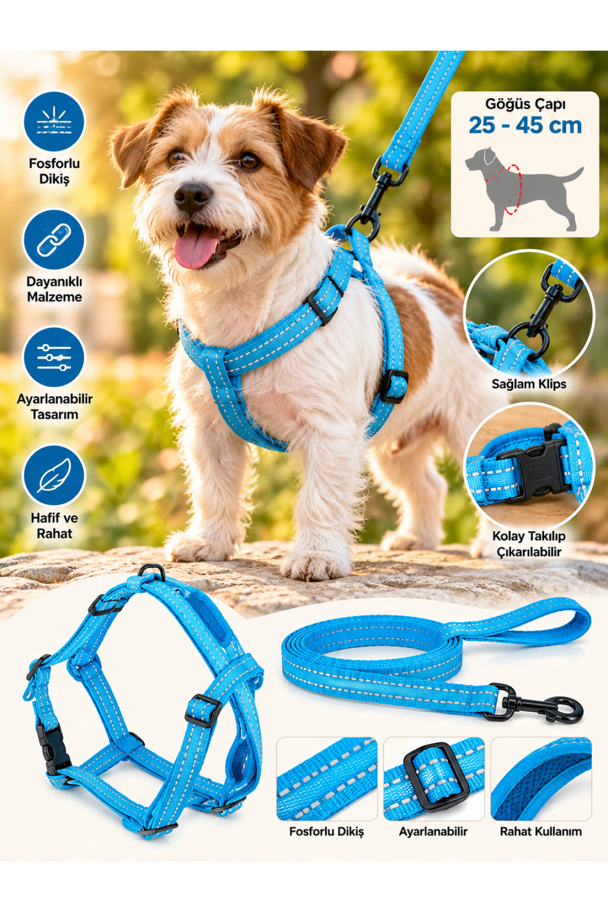 Doglife Fosforlu Köpek Göğüs Tasması + Gezdirme 1,5cm