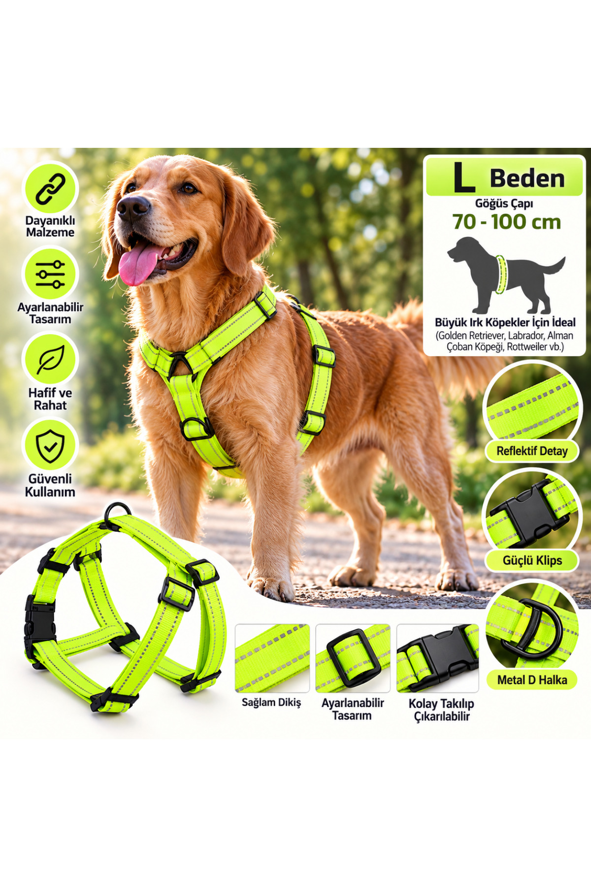 Doglife Köpekler İçin Fosforlu Göğüs Tasması ve Gezdirme Kayışı Seti 2,5cm L Beden - Neon Yeşil